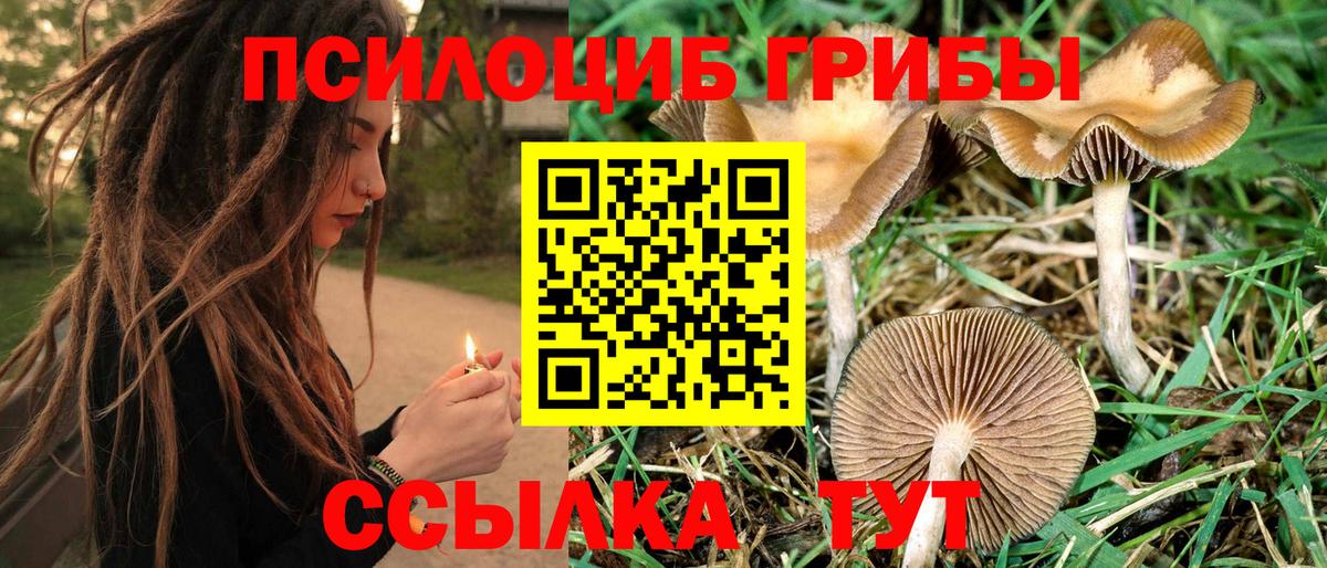 Псилоцибиновые грибы мицелий  Вход с VPN  Осинники 