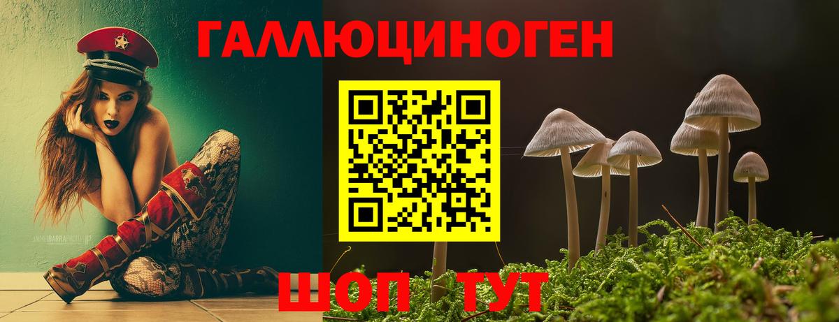 Псилоцибиновые грибы мухоморы Осинники